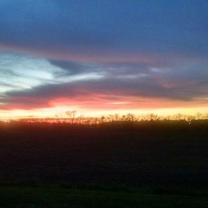 Meet your Posher, Traceygrl